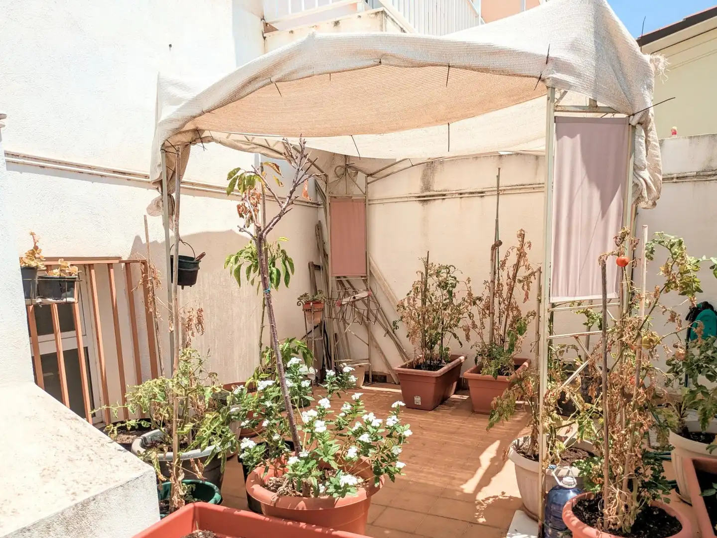 Terrassa de Pis en venda en Amposta