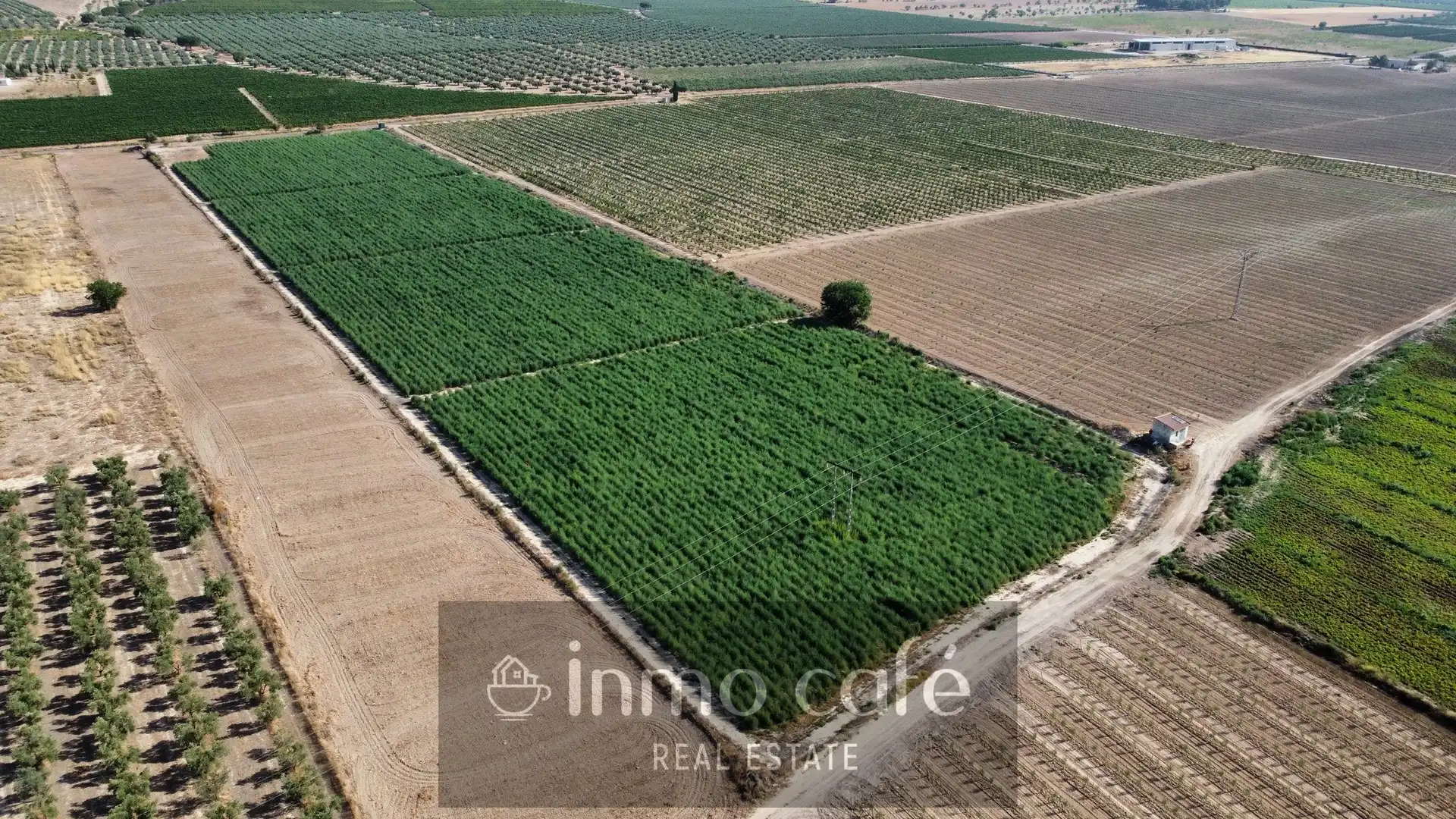 Terreny rústic en venda a Polígono, imagen 5