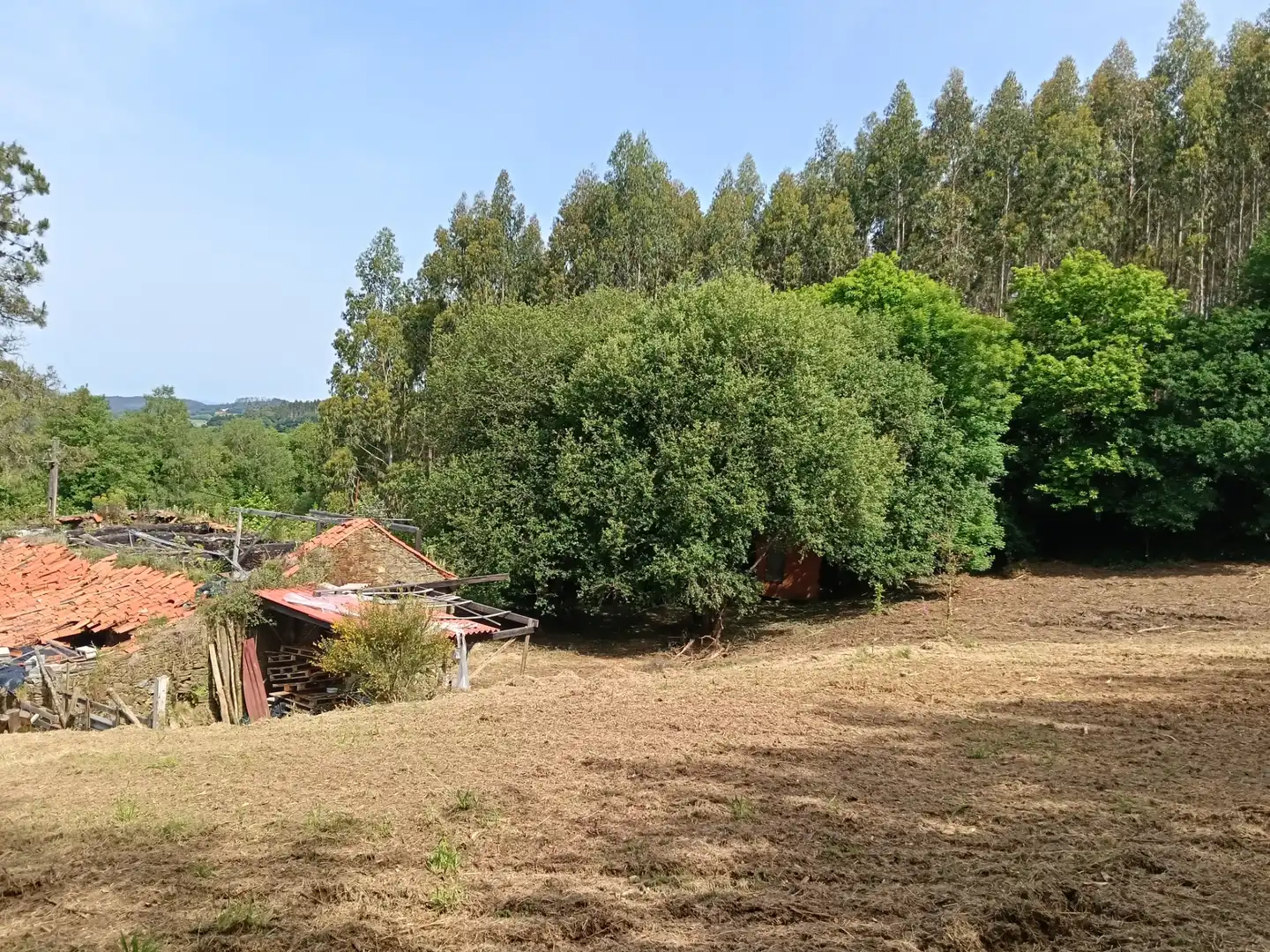 Maison avec jardin à vendre à Cesuras, imagen 10