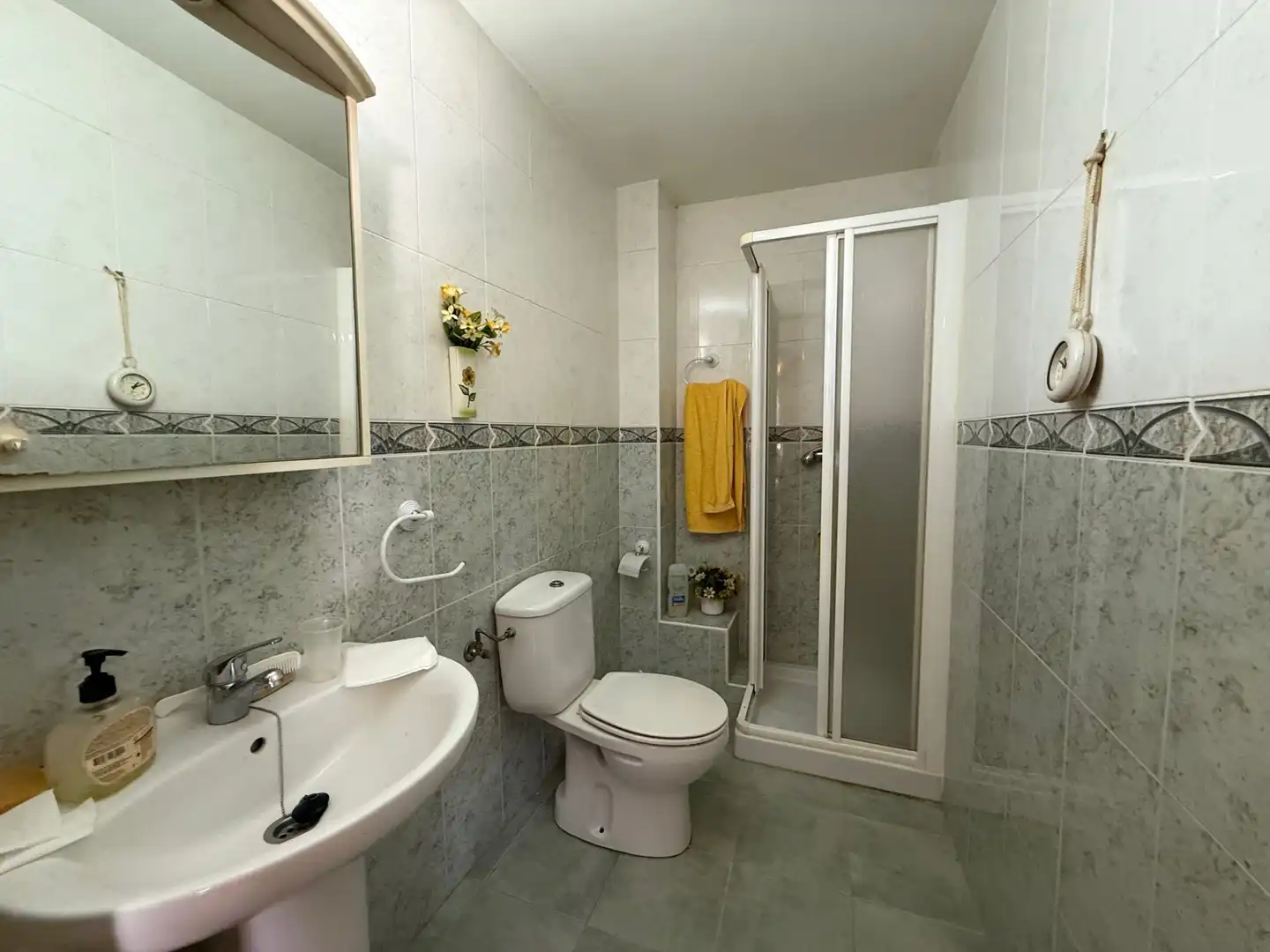 Bathroom of Houses for sale in Láchar  with Private garden, Terrace and Swimming Pool