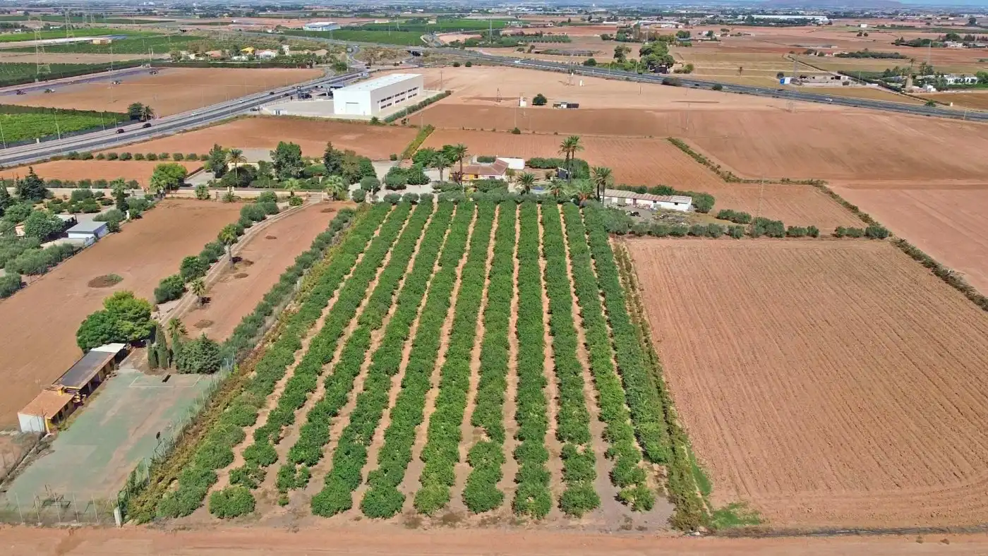 Casa rústica amb jardí en venda a Pedanías Este, imagen 6