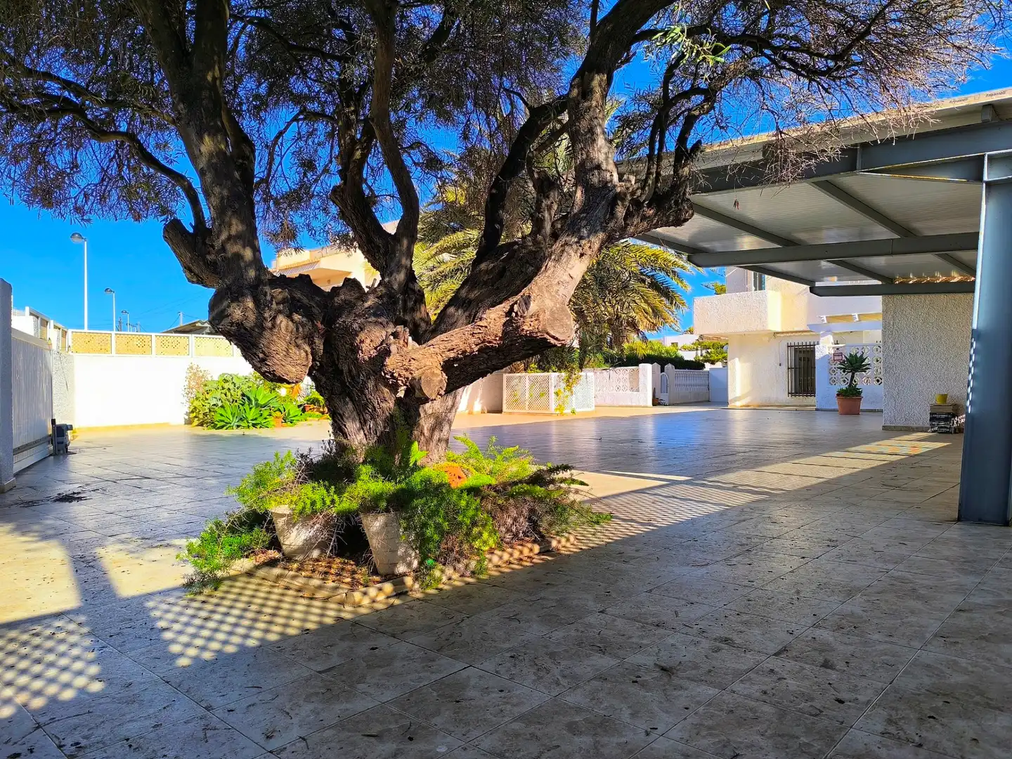 Vista exterior de Casa o chalet en venta en Cartagena con Aire acondicionado, Calefacción y Jardín privado