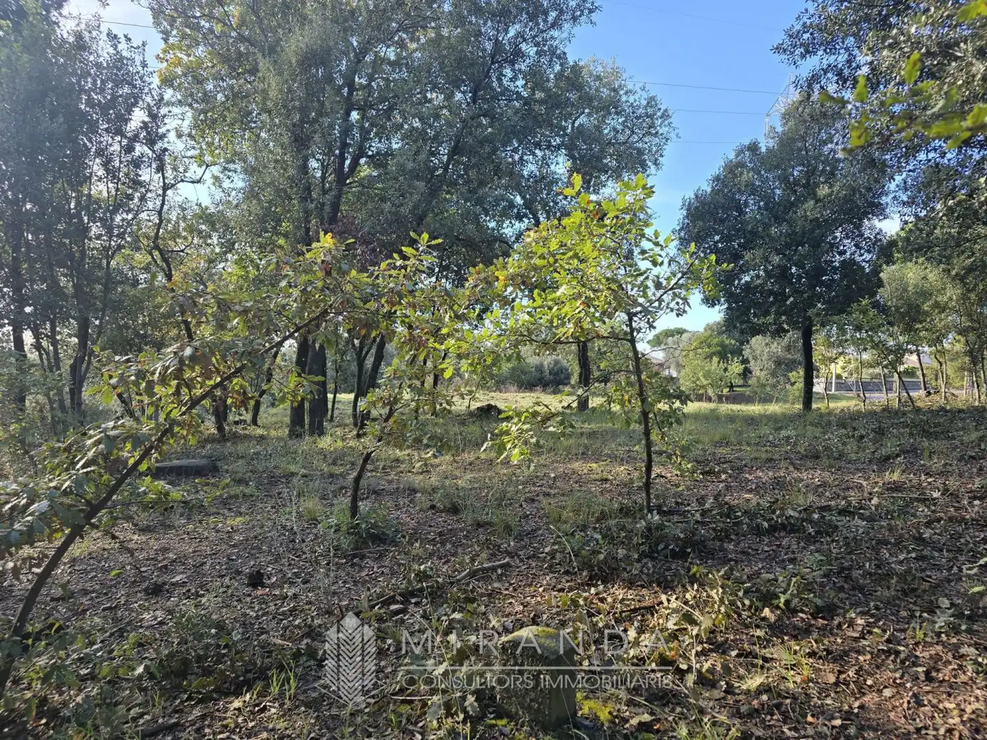 Residential land for sale in Sant come, imagen 6