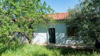 Vista exterior de Finca rústica en venda en Pinos Genil