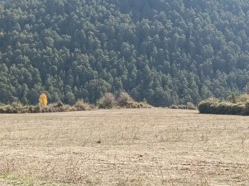 Terreni e lotti in vendita a calle alta, imagen 6