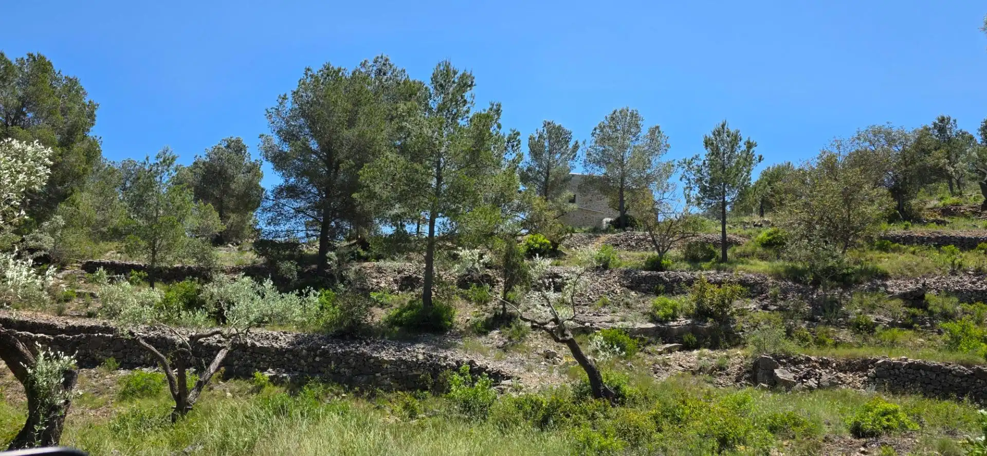 Maison rustique à vendre à Tivissa, imagen 14