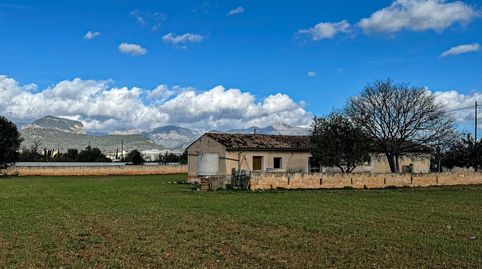 Foto 5 de Terreny industrial en venda a Binissalem, Illes Balears