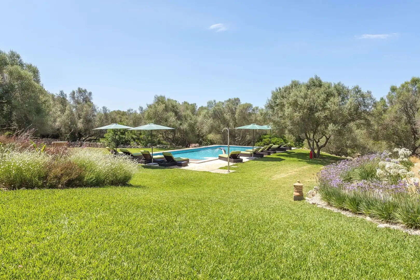 Garden of Houses for rent in Felanitx