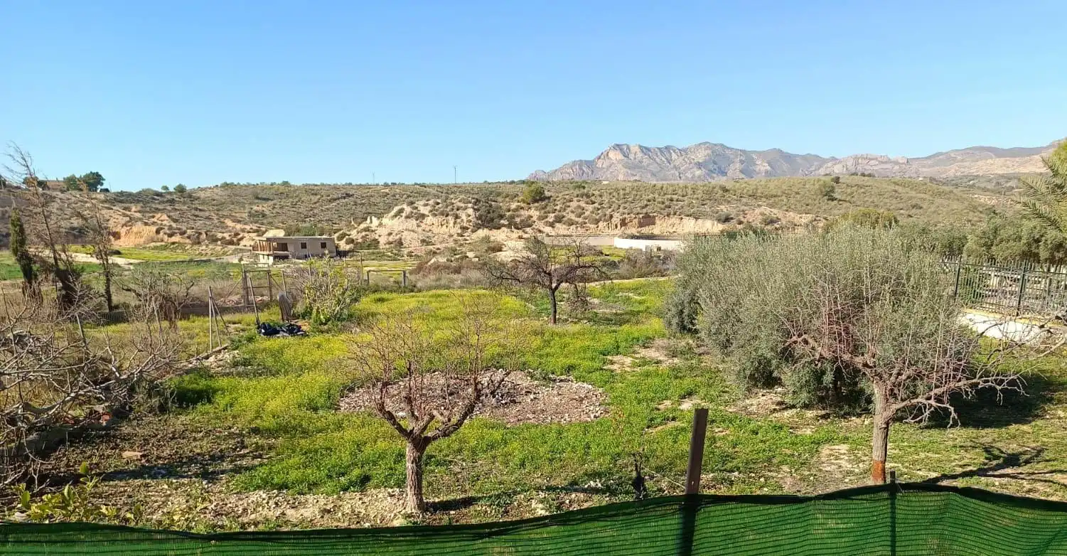 Casa amb piscina en venda a Crevillent, imagen 49