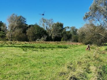 Terreny rústic en venda a Santa María de Cayón