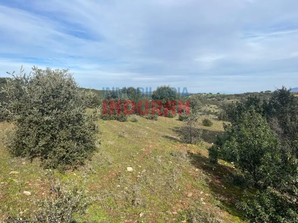 Finca rústica en venda en Puerto de San Vicente