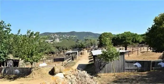 Terrenos y solares en venta en Mas Mora - Sant Daniel, imagen 52
