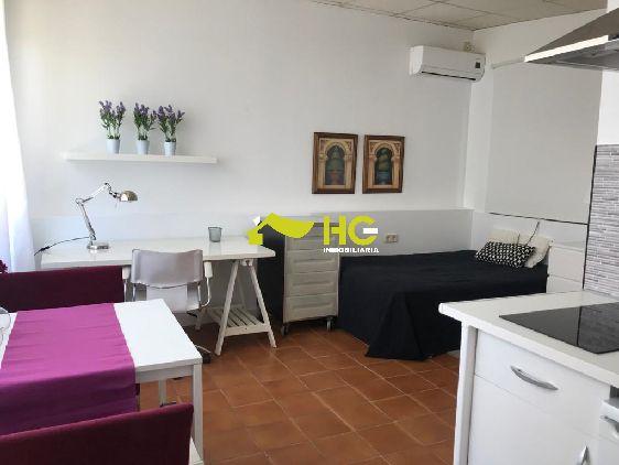 Foto 1 de Estudi de lloguer a El Bosque, Madrid