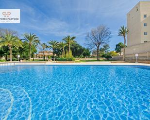 Piscina de Planta baixa en venda en Manacor amb Aire condicionat, Calefacció i Moblat