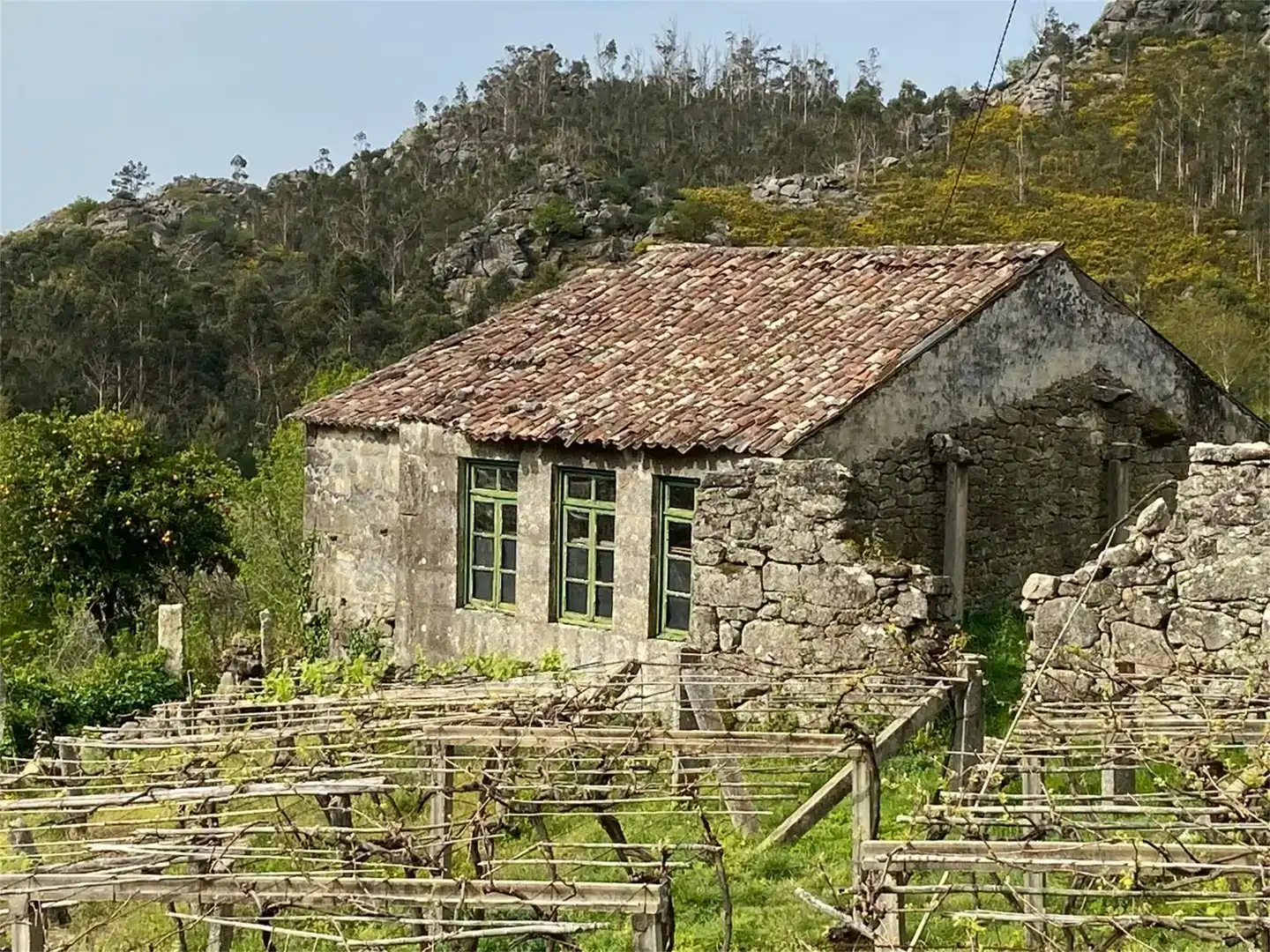 Vista exterior de Finca rústica en venta en Porto do Son