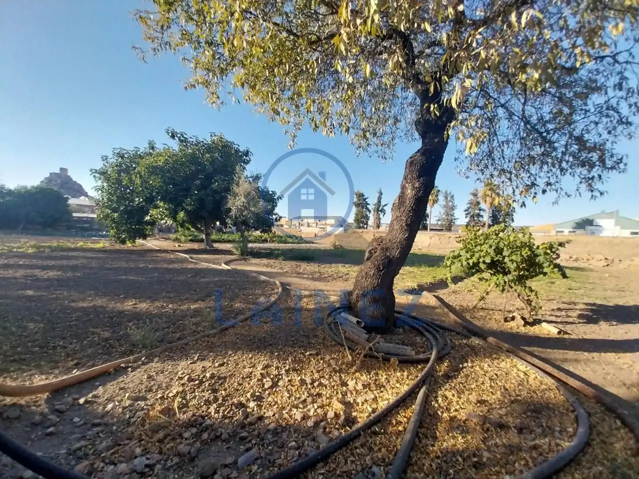 Lands and plots for sale in Belmez, imagen 8