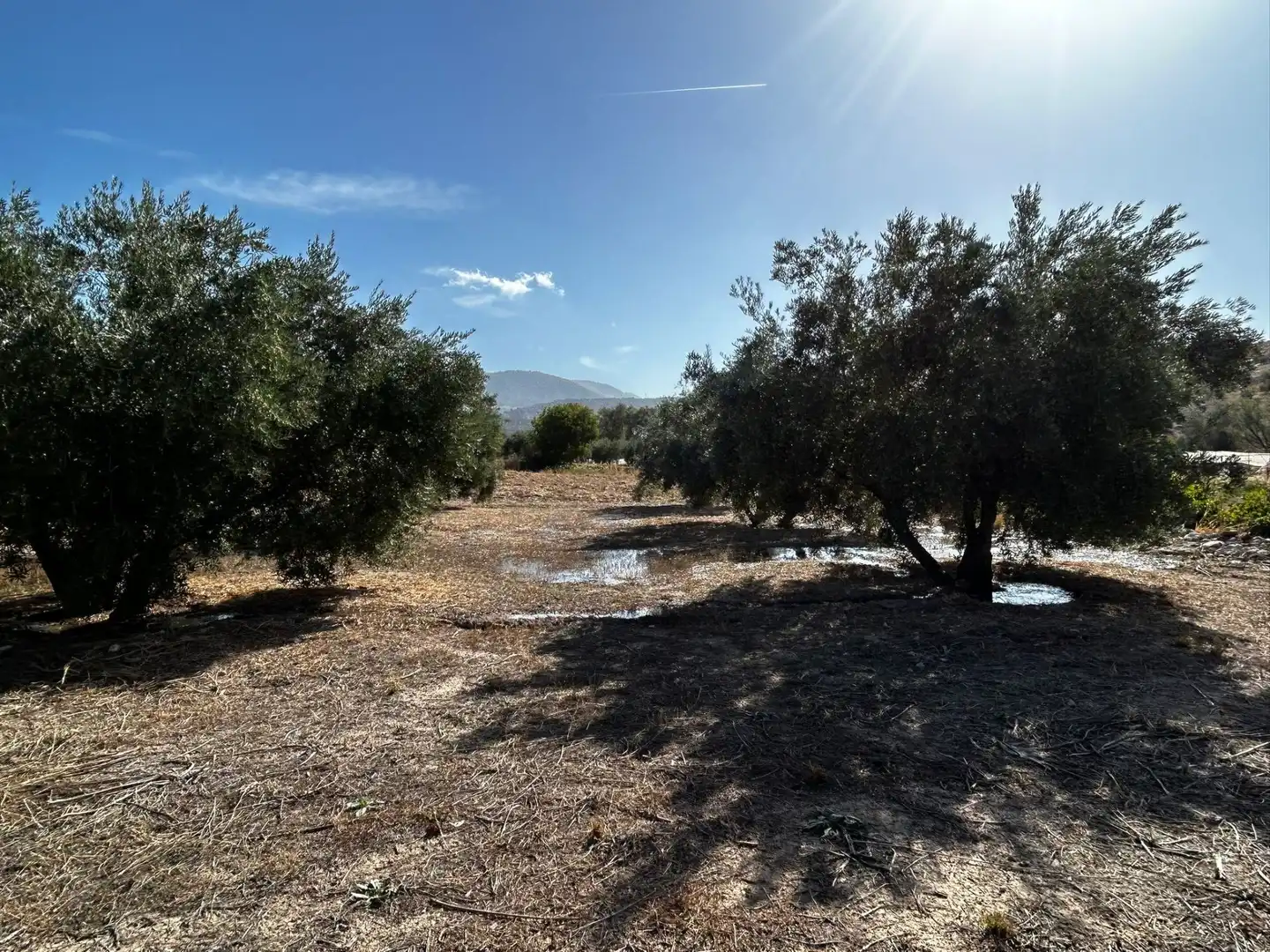 Terreni e lotti in vendita a Calicasas, imagen 21