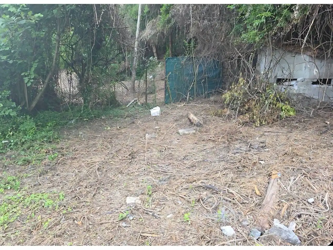 Maison avec jardin à vendre à Calle Cillero, imagen 12