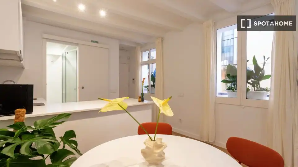 Flat with terrace to rent in Ciutat Vella, imagen 9