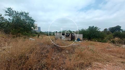 Photo 4 of Land for sale in Nacar, Las Pedrizas, Chiva