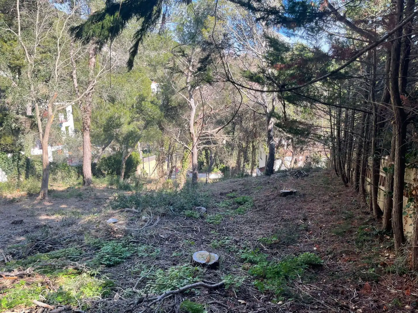 Lands and plots for sale in L'Estartit Poble, imagen 5