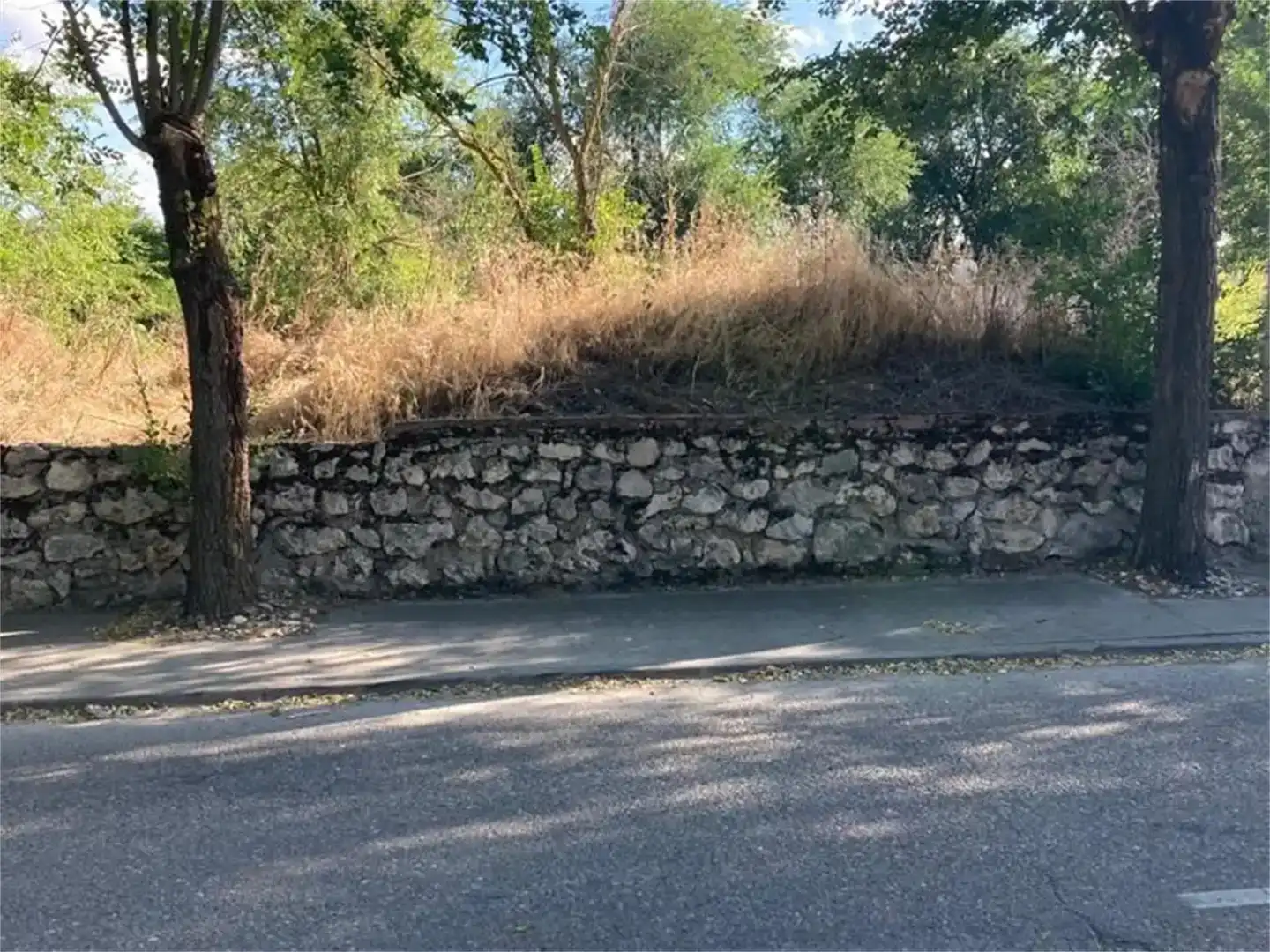 Terreno en venta en Olmos de Esgueva, Valladolid