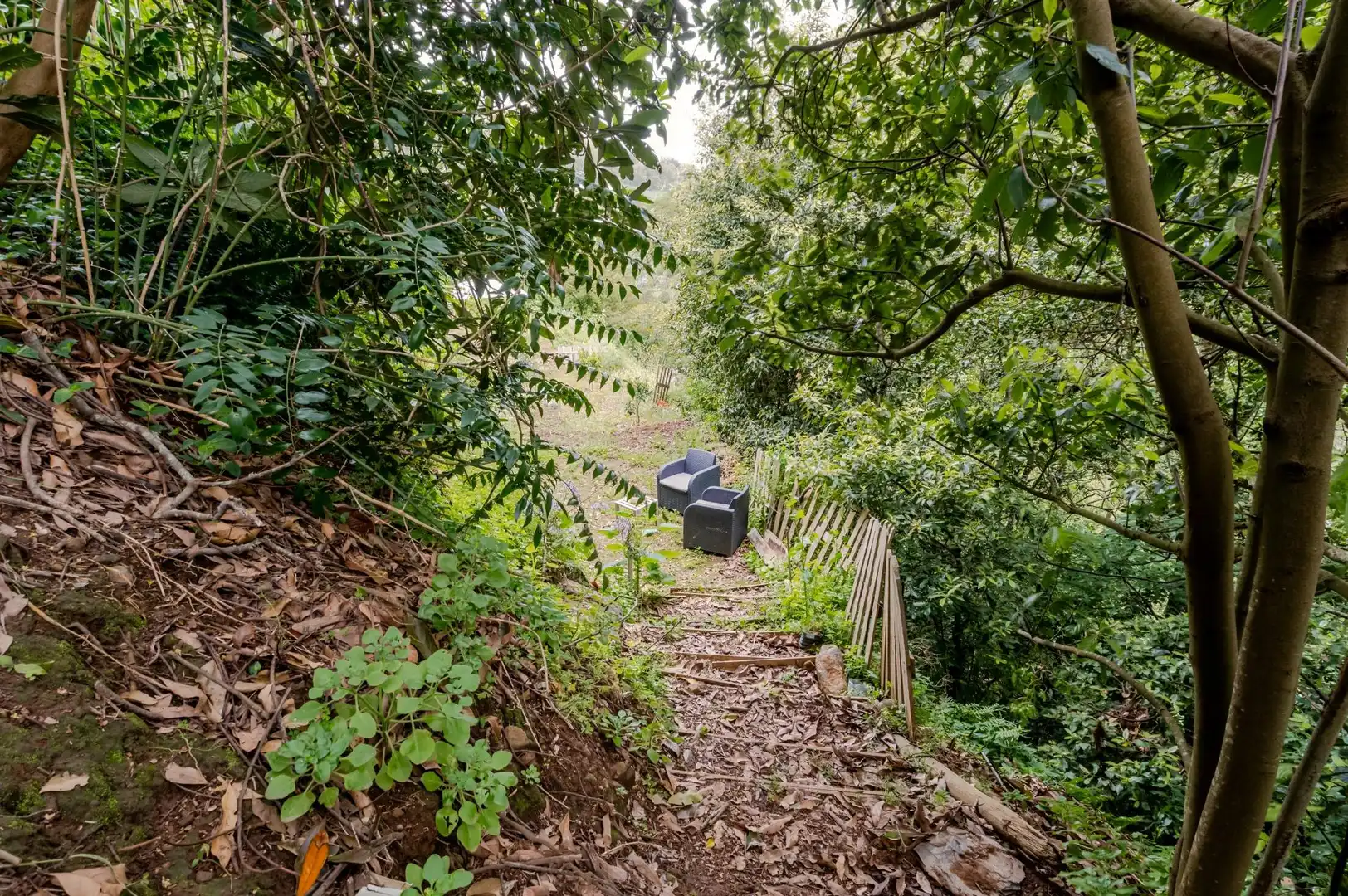 Garden of Land for sale in Teror
