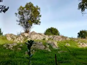 Terrain résidentiel à vendre à Aldea Bones, imagen 8