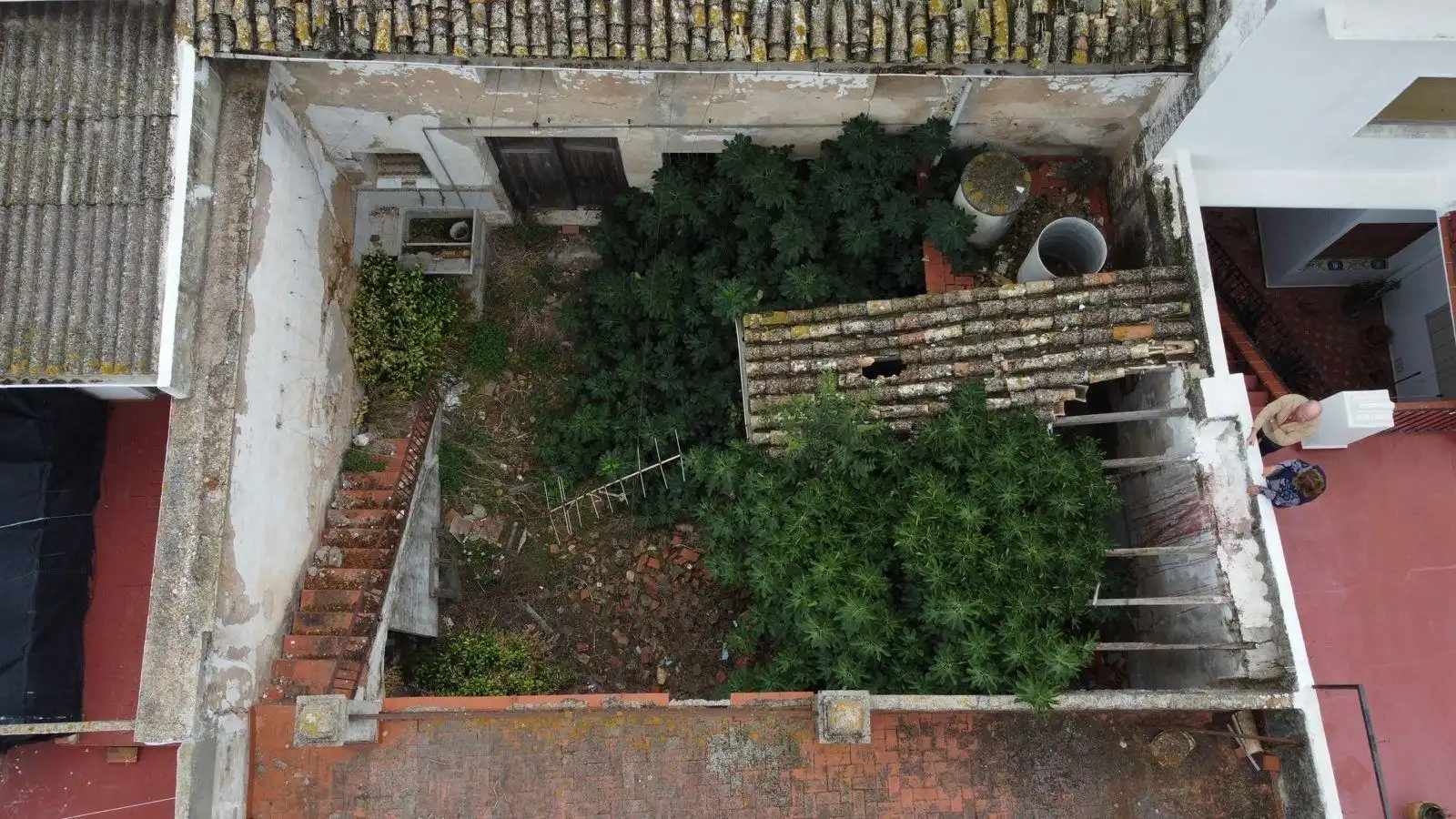 Garden of Residential for sale in Sellent