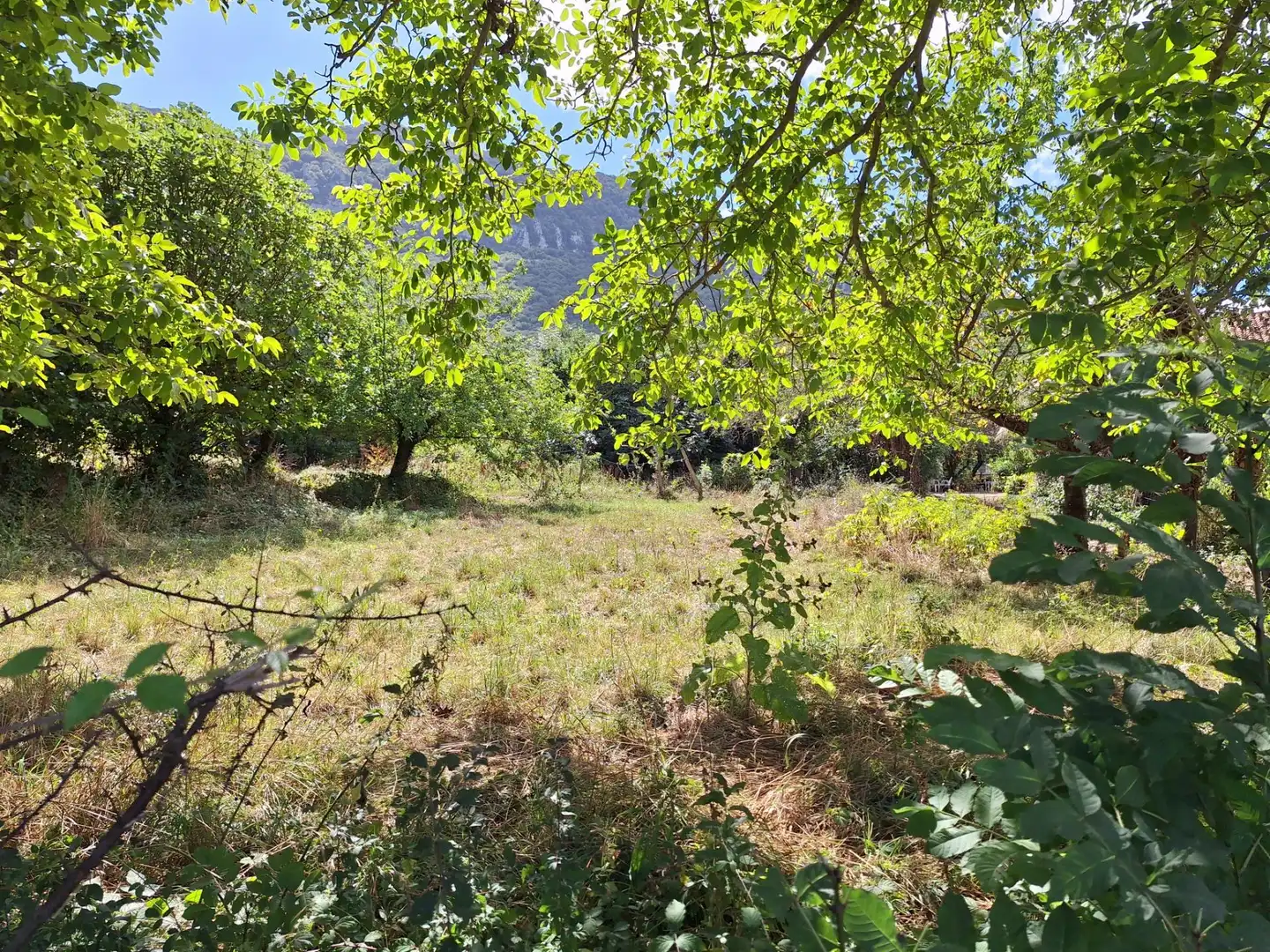 Terreni e lotti in vendita a siones