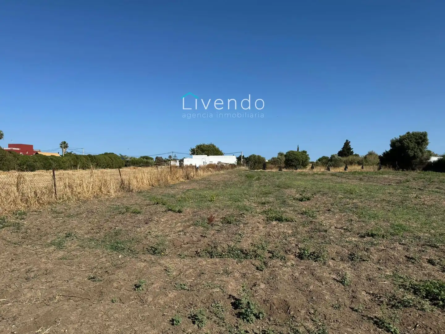 Terreni e lotti in vendita a El Palmar, imagen 4