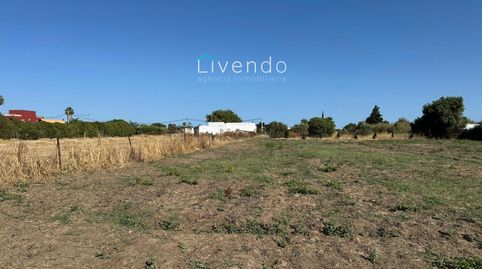 Parcela en venta en el Palmar, imatge 4