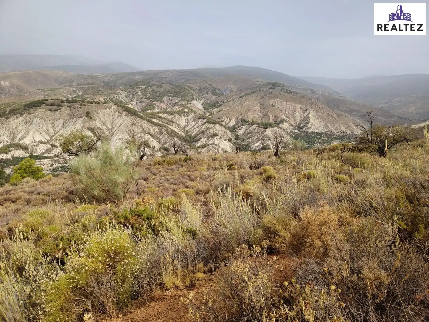 Terrain rustique à vendre à Alcolea, imagen 4