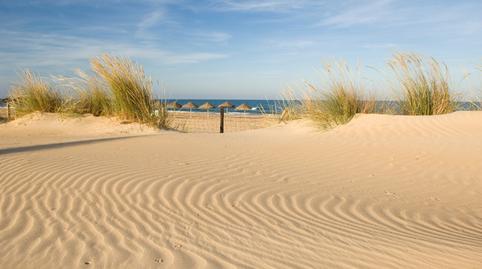 Foto 5 de Apartamento en venta en Puerto Deportivo, Guardamar del Segura