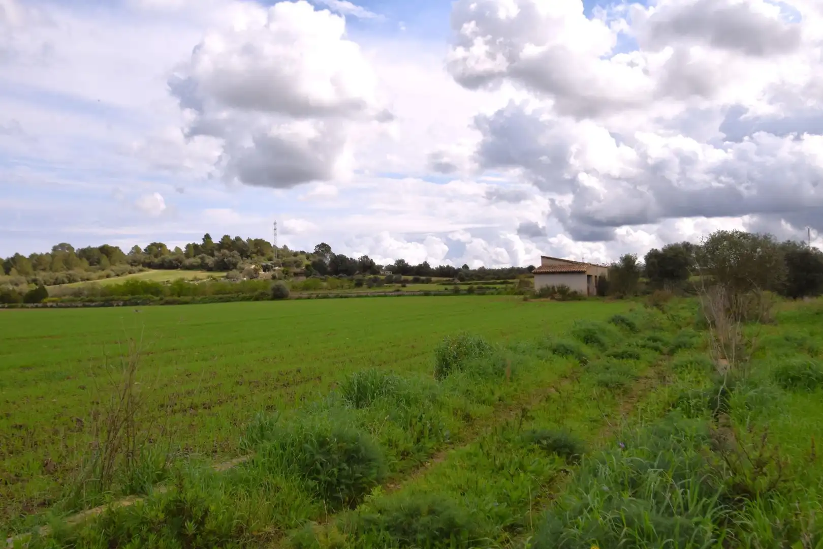 Residential land for sale in Muro, imagen 12