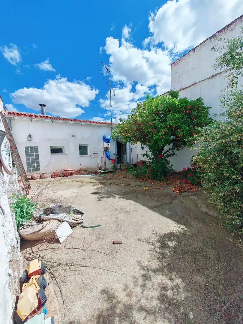 Exterior view of Houses for sale in Puebla del Prior  with Private garden