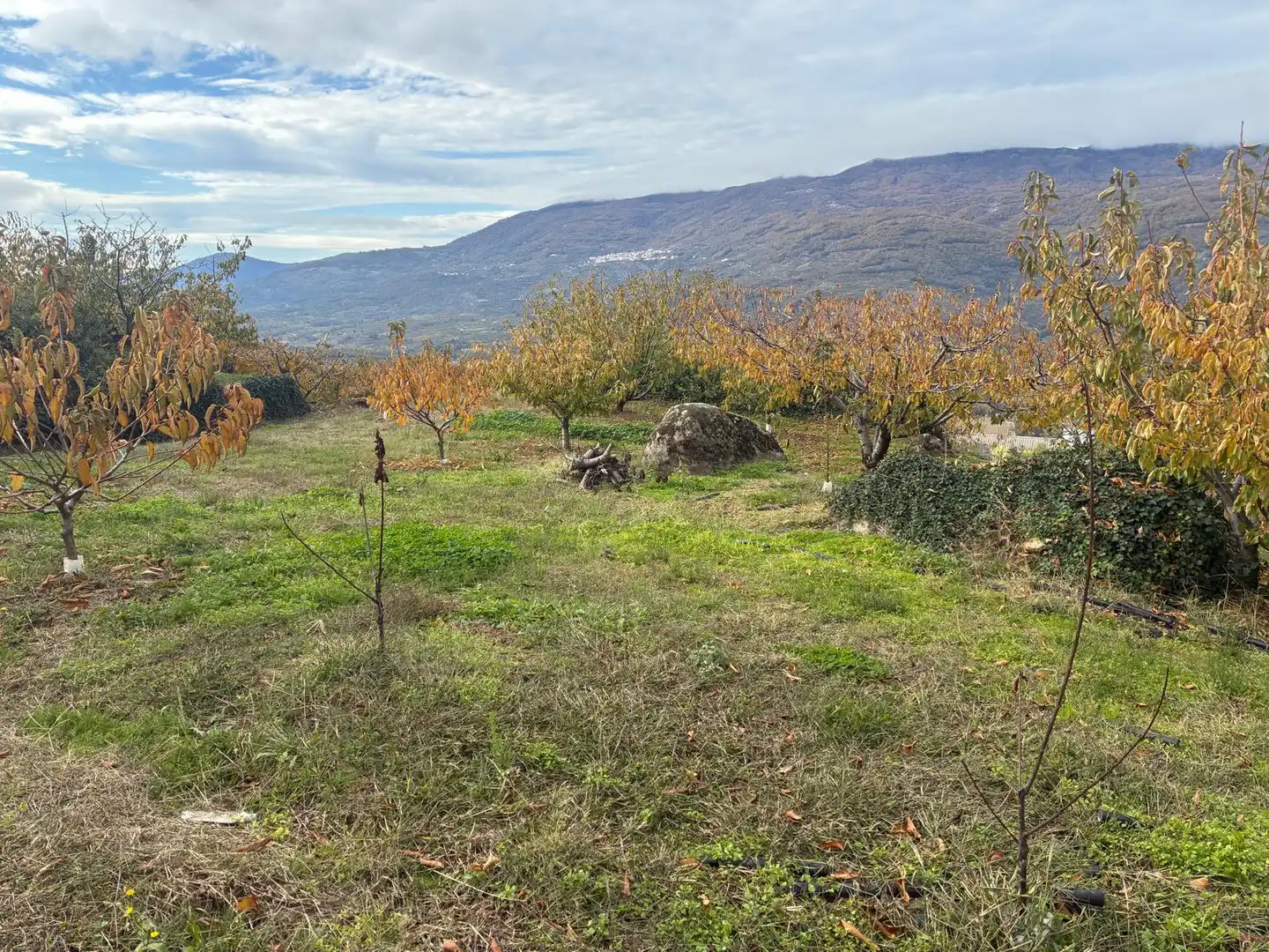Residential land for sale in Paseo Naranjos 114, imagen 3