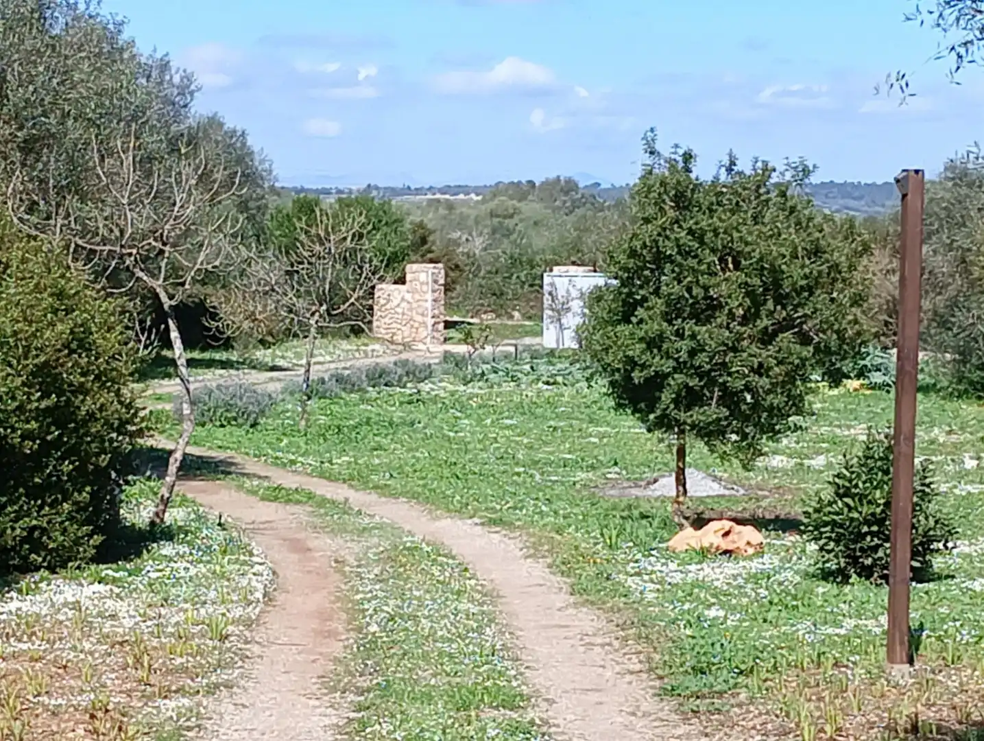 Casa en venta en Manacor Centre, imagen 6