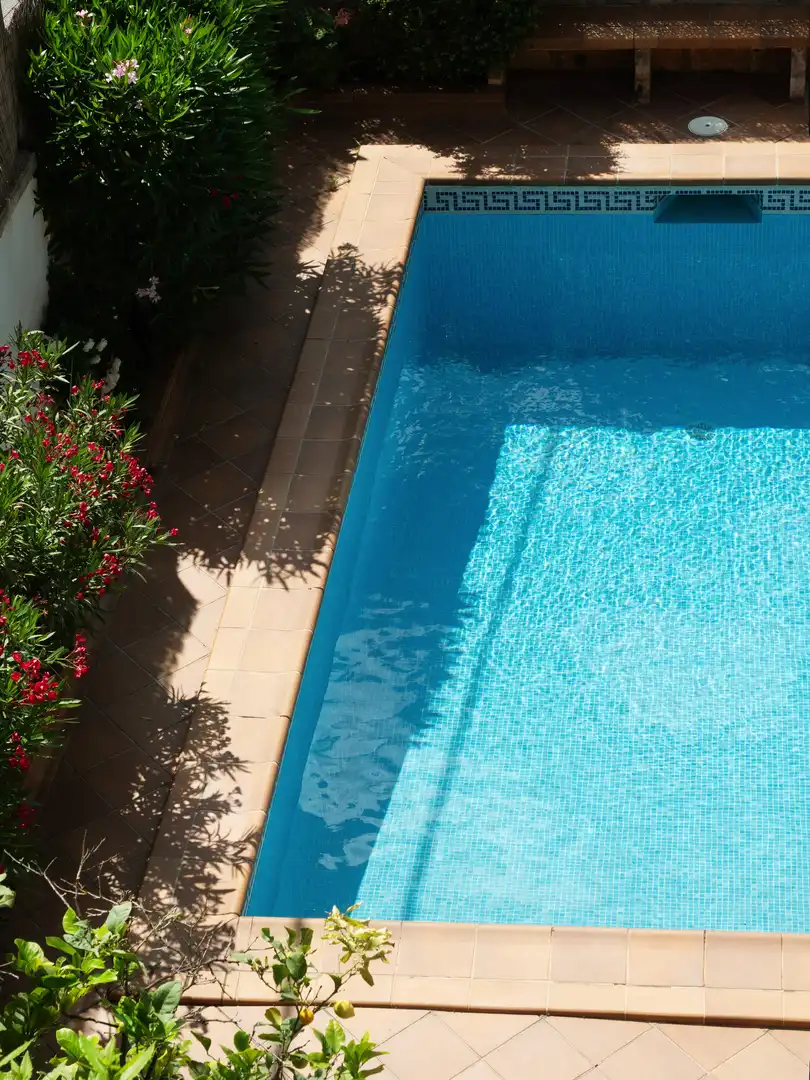 House with pool for sale in RECTOR VIVES 25, imagen 30