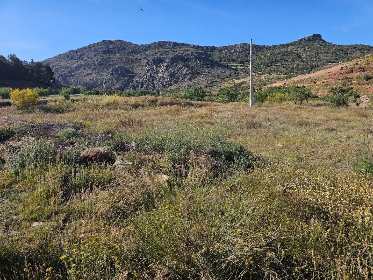 Finca rústica en venta en Vélez-Rubio con Terraza y Amueblado