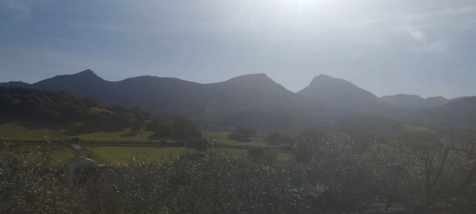 Exterior view of Land for sale in Prado del Rey