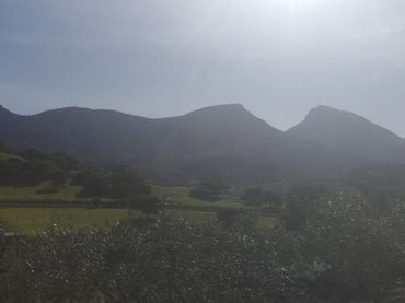 Terreno rustico in vendita a Calle Doctor Martín Aguilar