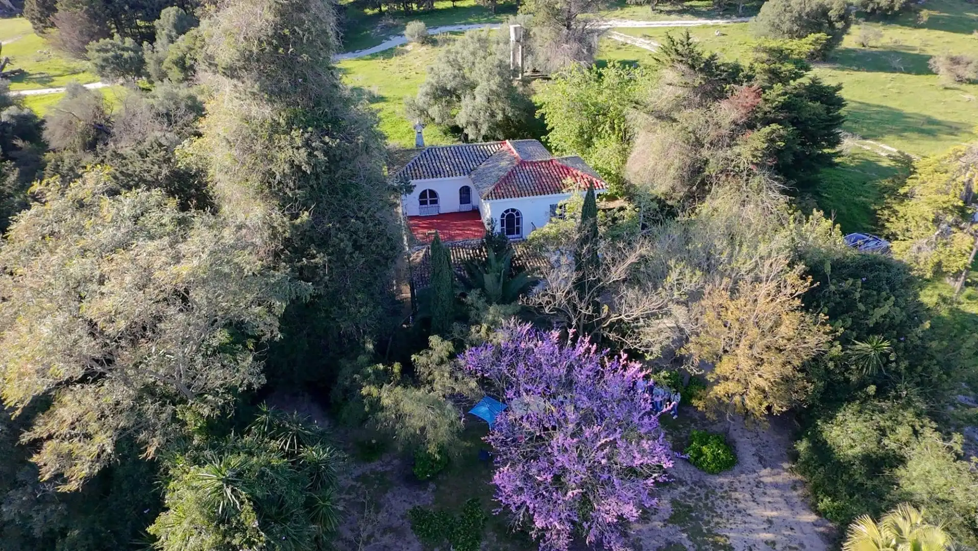 Garden of Houses for sale in Jerez de la Frontera  with Private garden