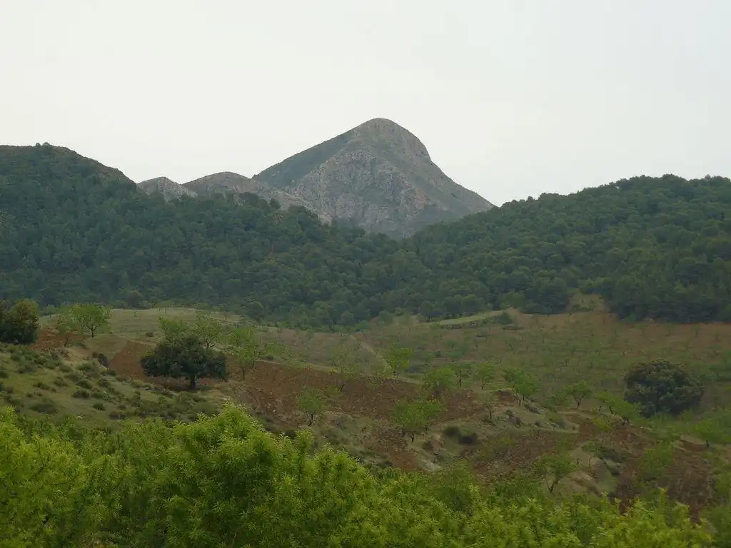 Terreny rústic en venda a Tébar - Los Arejos, imagen 4