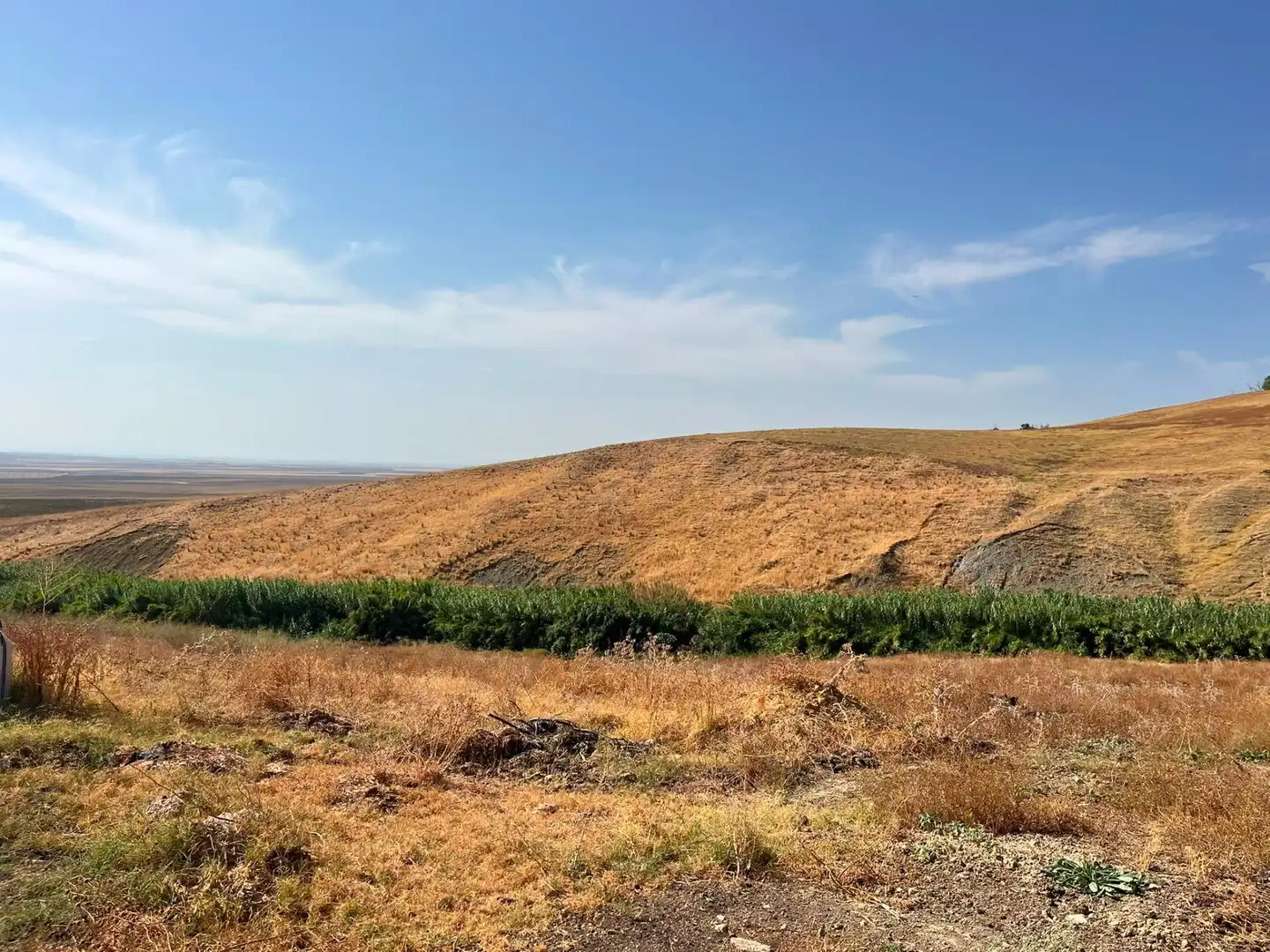 Rural land for sale in Carmona, imagen 5