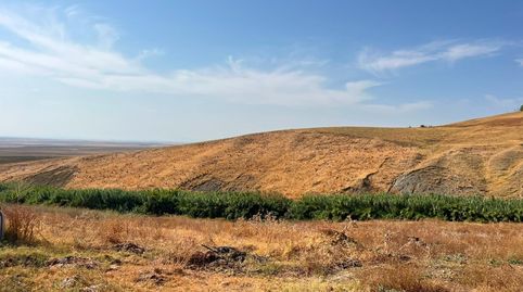 Venta de finca rústica en Carmona Sevilla, immagine 5