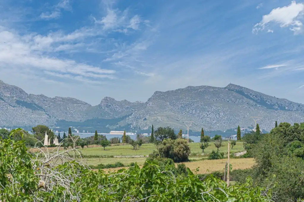 Land for sale in Ciutat d'Alcúdia