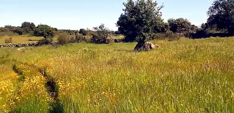Terreni e lotti in vendita a Aldea del Cano, imagen 8