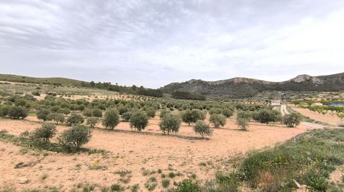 Foto 3 von Country house zum Verkauf in N/a, -1, Jumilla, Murcia
