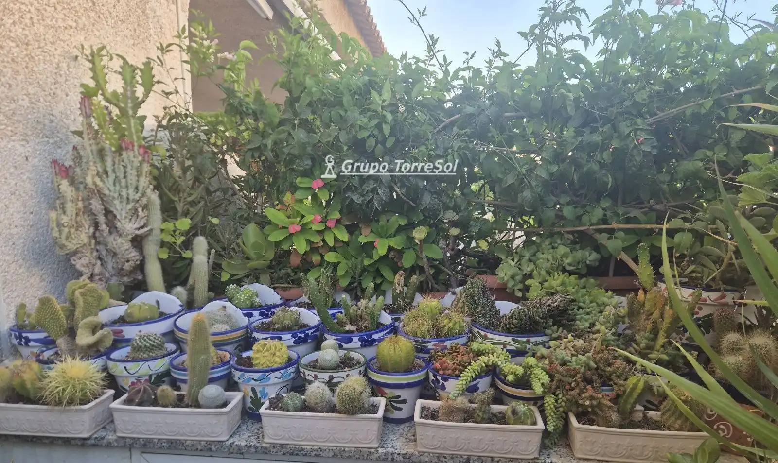 Casa bifamiliare con giardino in vendita a Vicente Blasco Ibañez, imagen 48